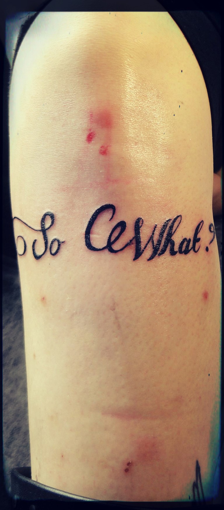 291012_373005596102462_1301898060_o