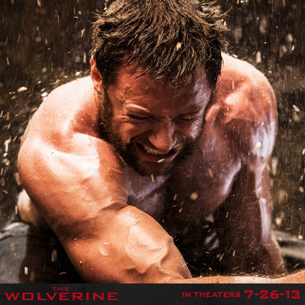 the wolverine